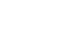 Del-Toro-Logo_Blanco